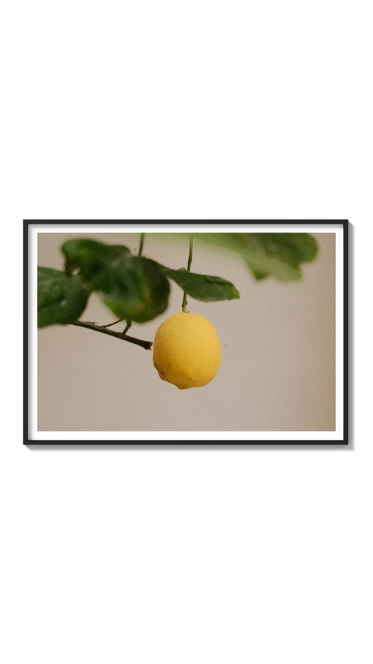 LIMONE